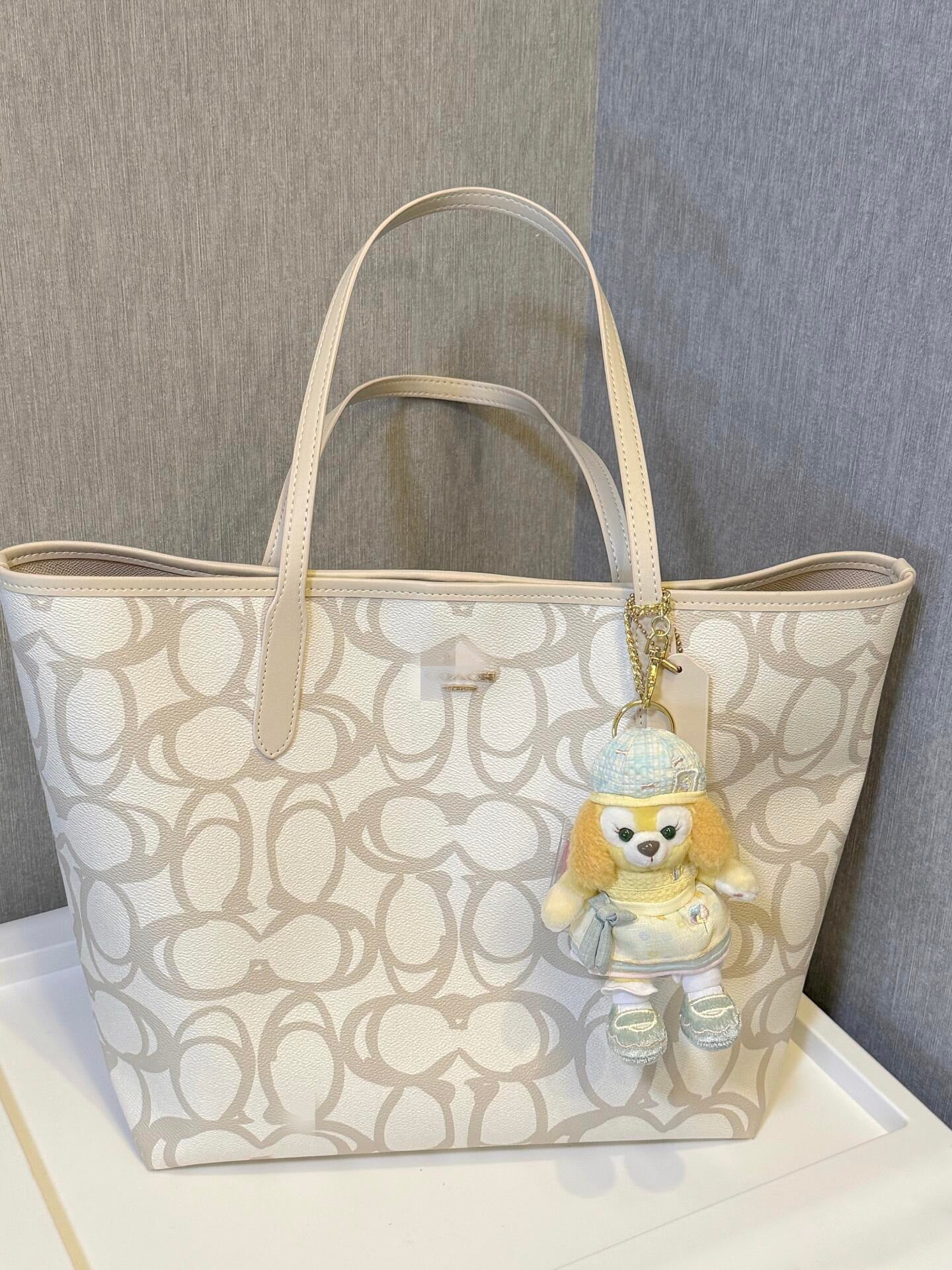 Sac à mains Coach